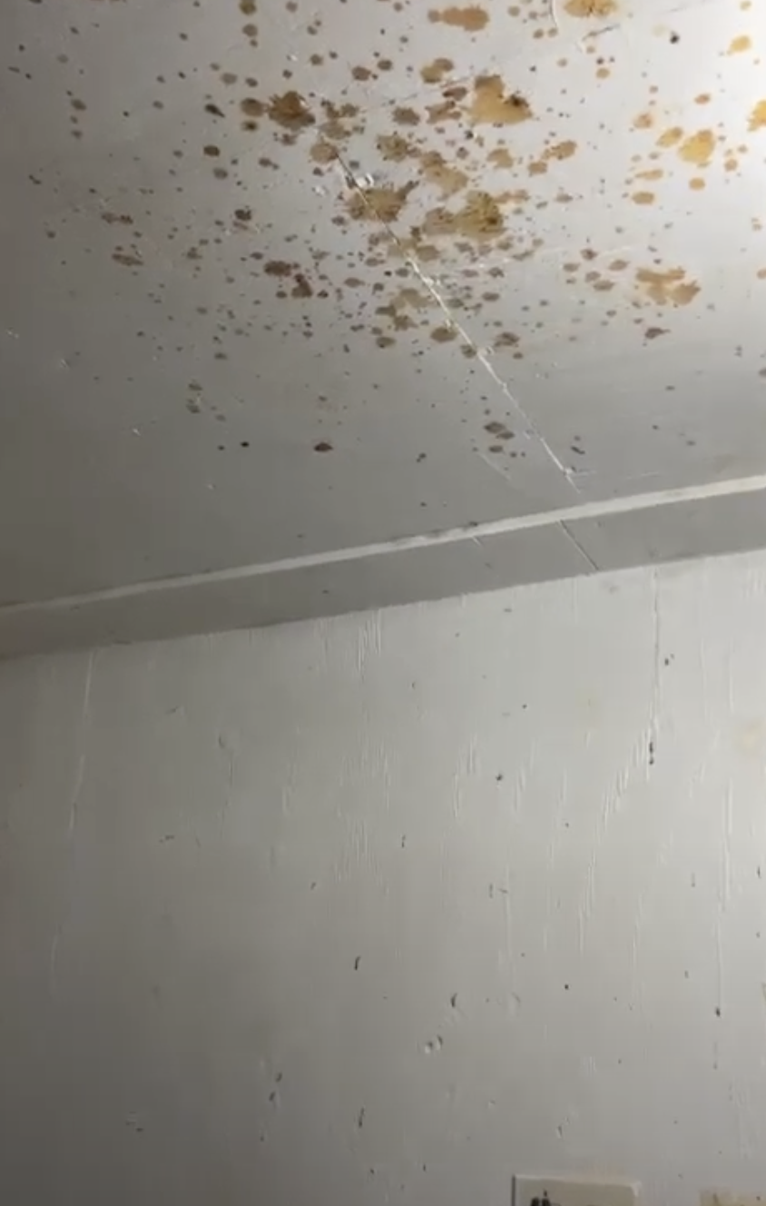 Bis an die Decke! Vorsicht beim Degasing von Alkoholextrakten.