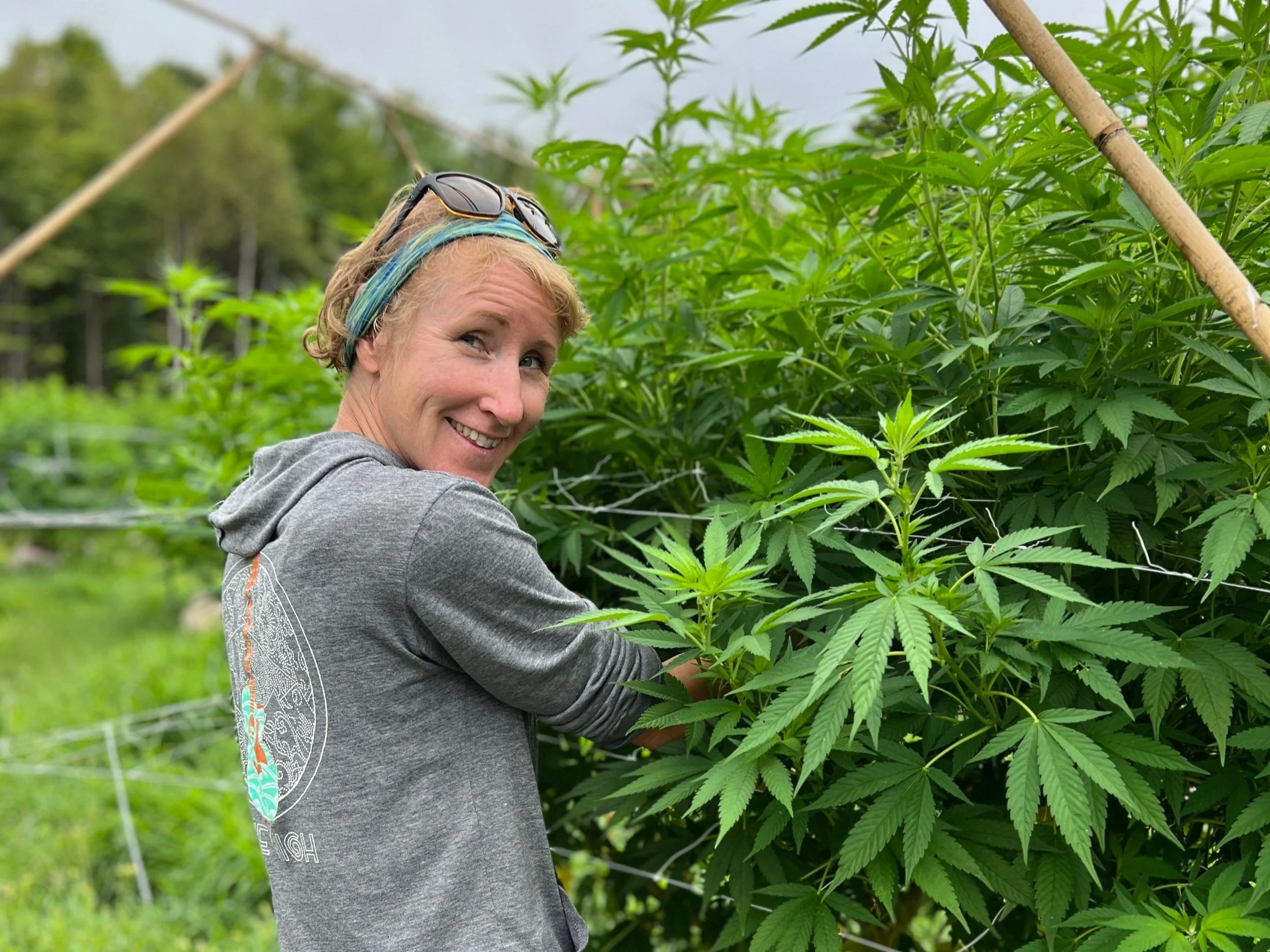 Cannabisfarmerin auf Reisen