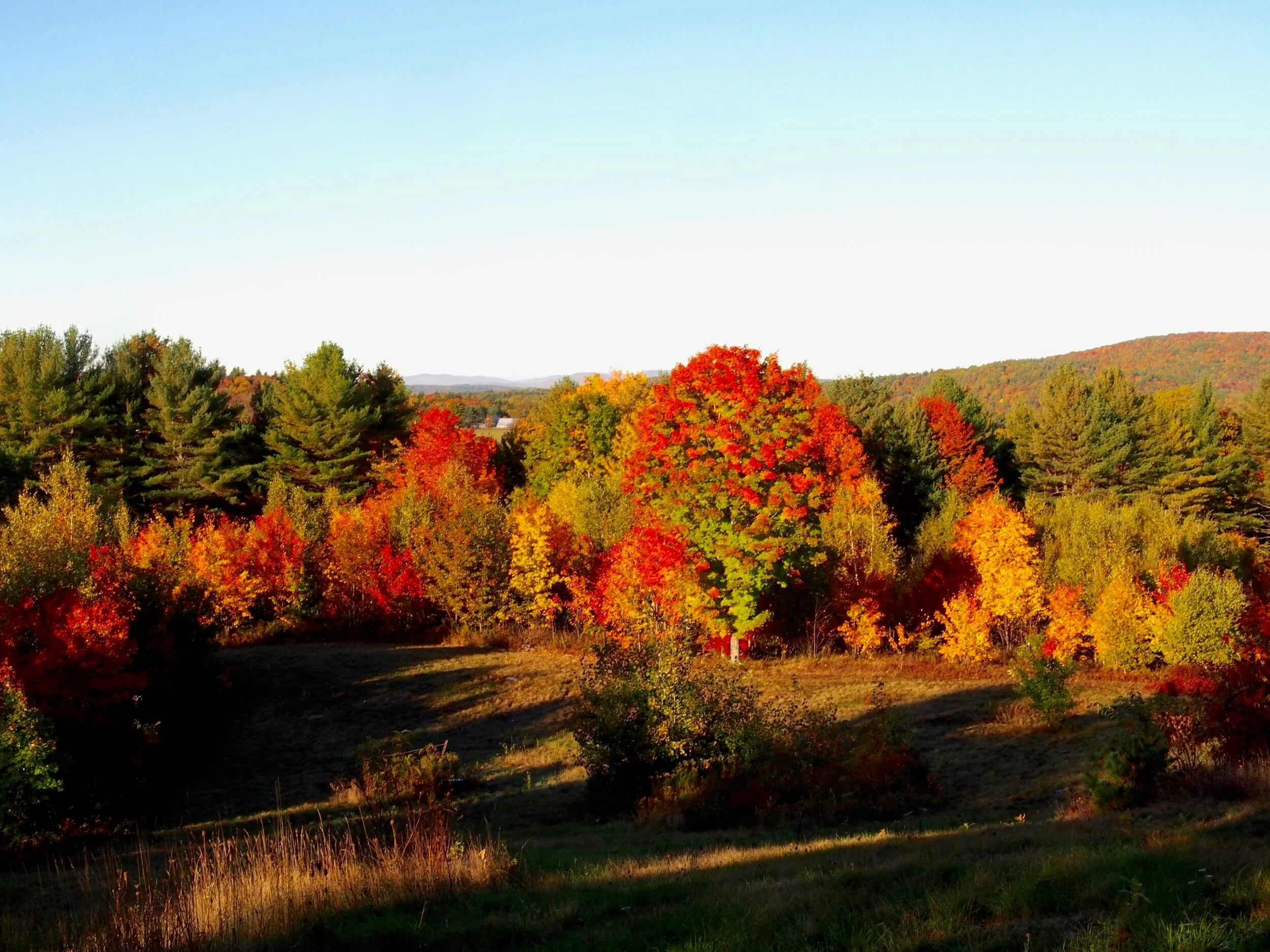 Herbst auf der Potfarm