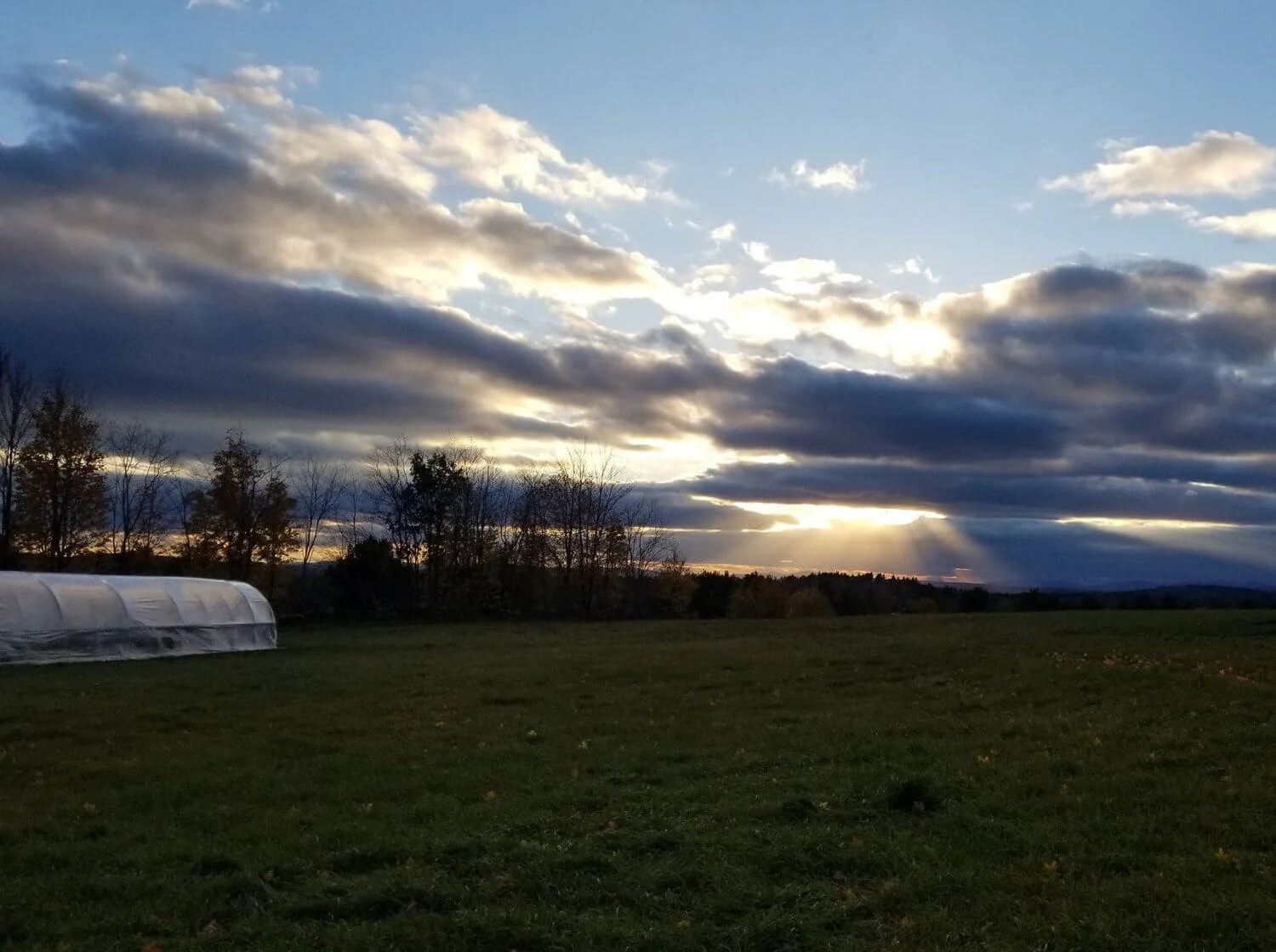 Sonnenuntergang auf der Potfarm
