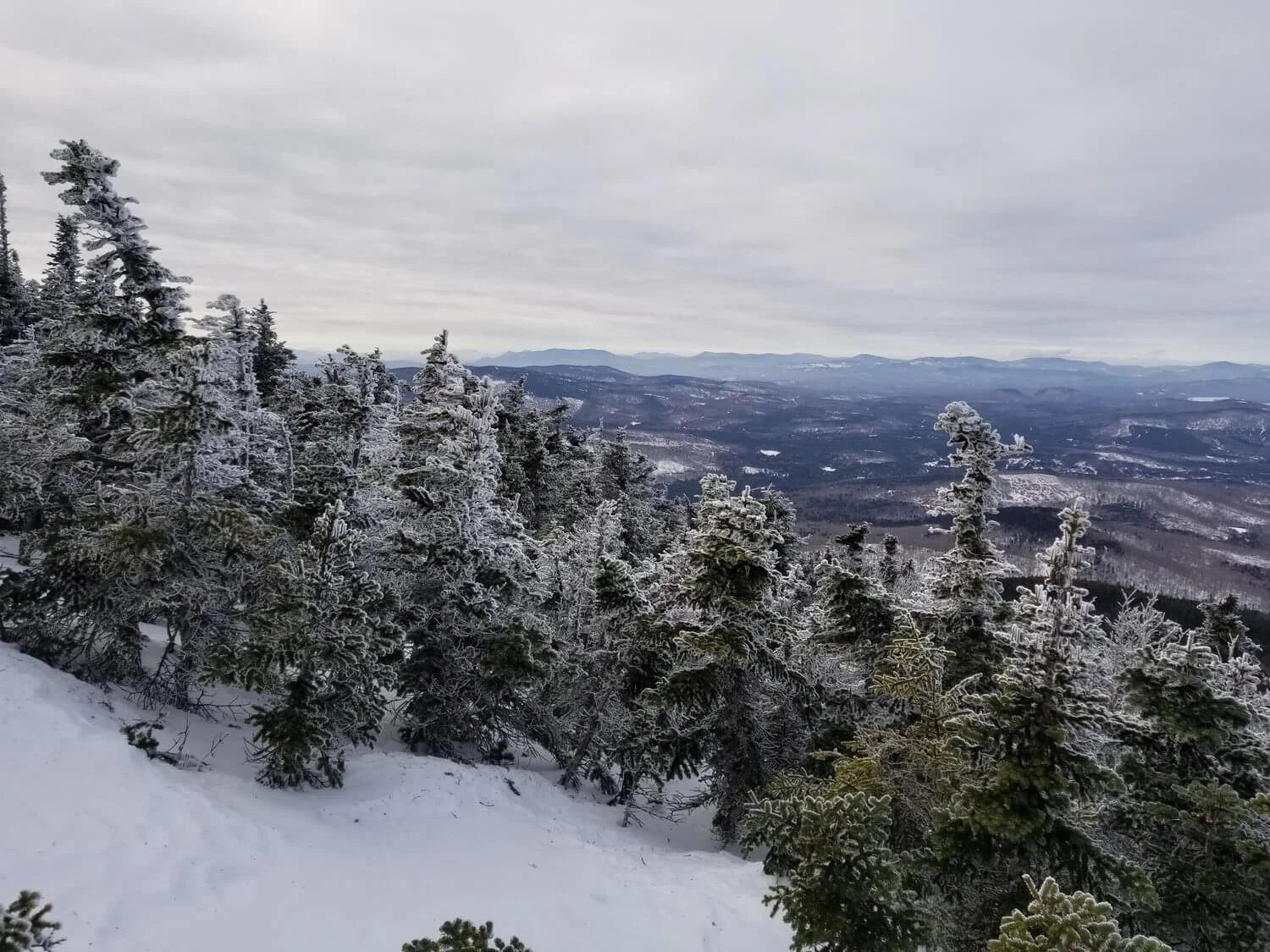 Winter auf der Potfarm in Maine